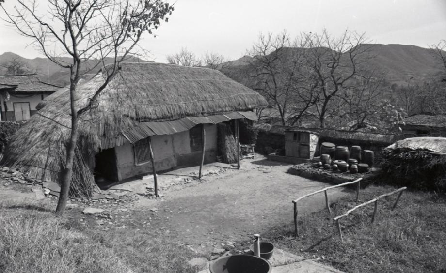 김운기 컬렉션이미지