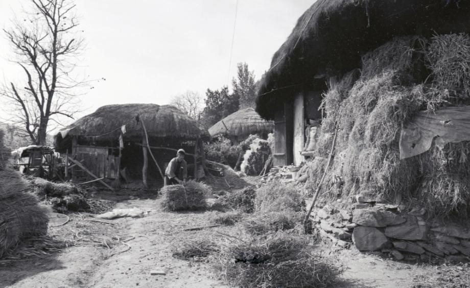 김운기 컬렉션이미지