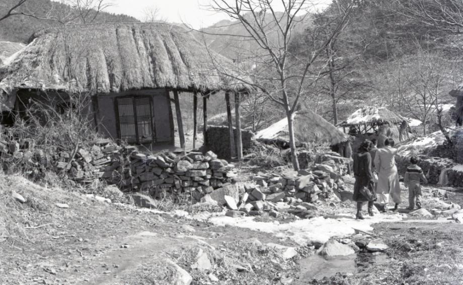 김운기 컬렉션이미지