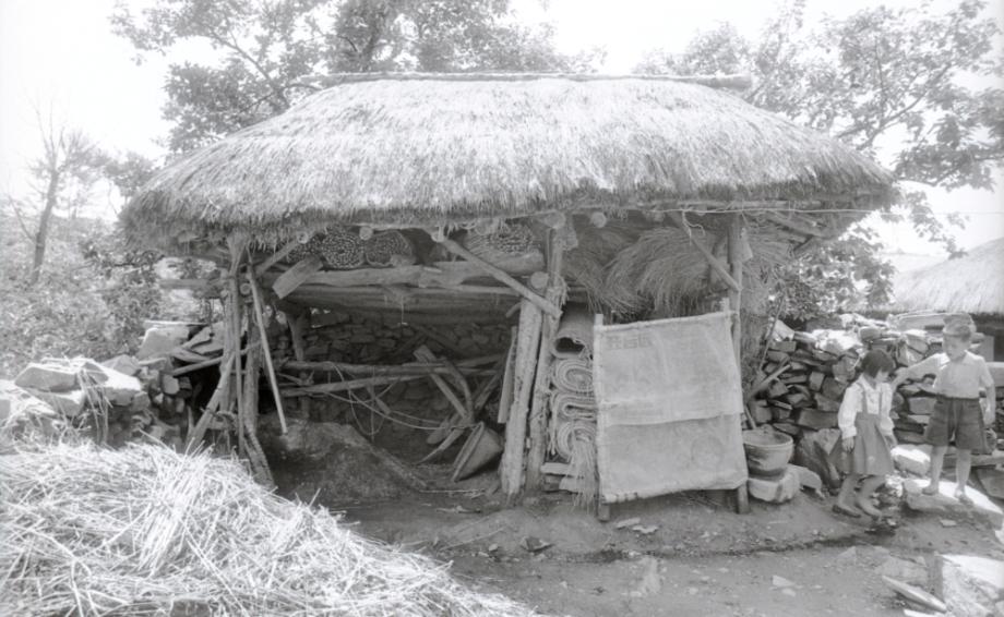 김운기 컬렉션이미지