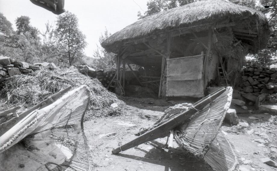 김운기 컬렉션이미지