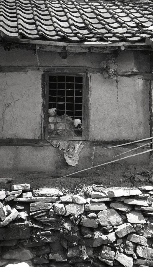 김운기 컬렉션이미지