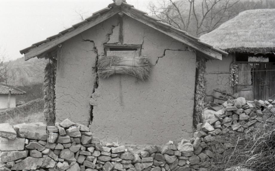 김운기 컬렉션이미지