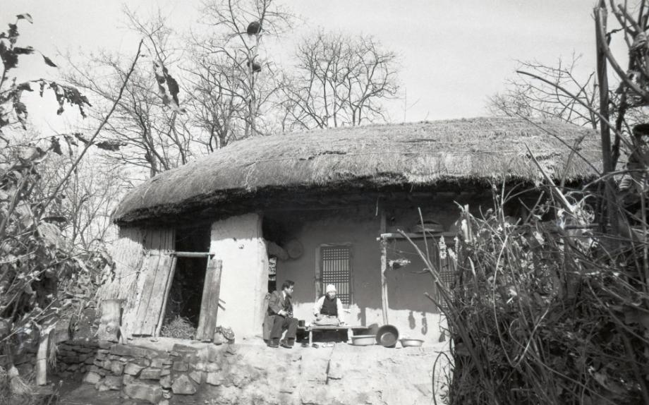 김운기 컬렉션이미지