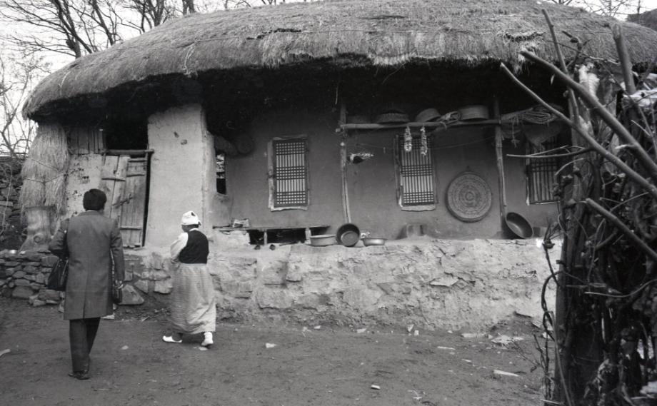 김운기 컬렉션이미지