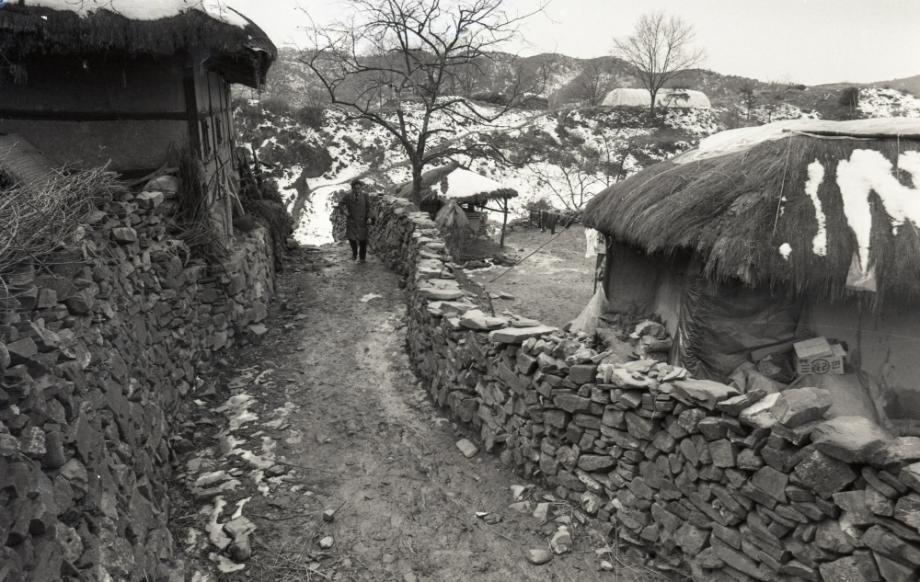 김운기 컬렉션이미지