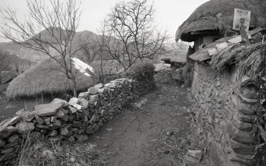 김운기 컬렉션이미지