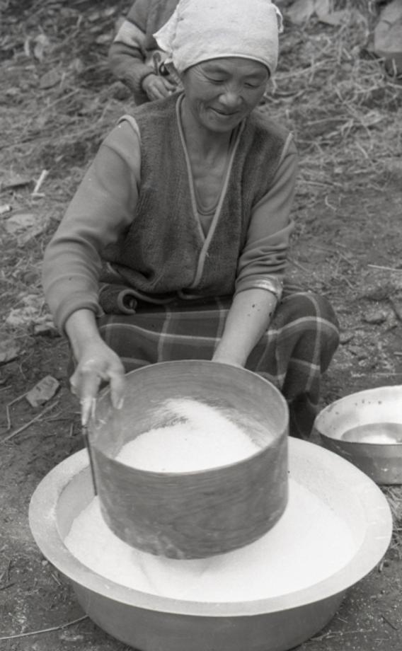 김운기 컬렉션이미지