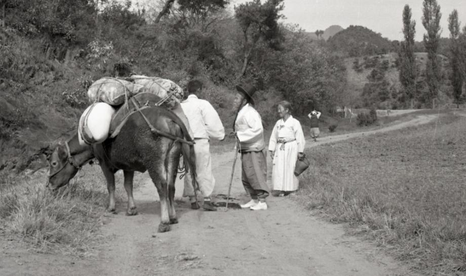 김운기 컬렉션이미지