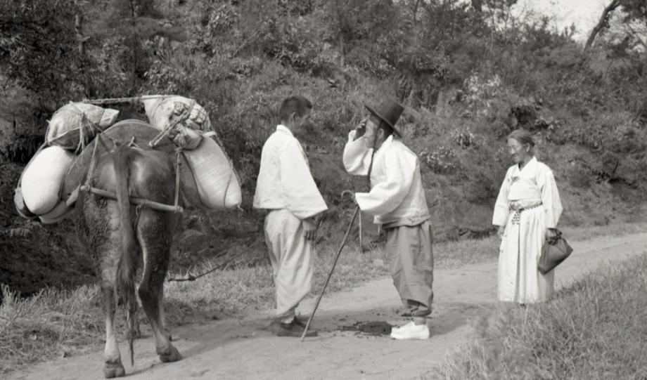 김운기 컬렉션이미지