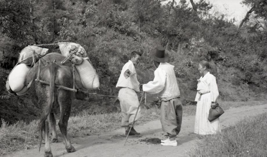 김운기 컬렉션이미지