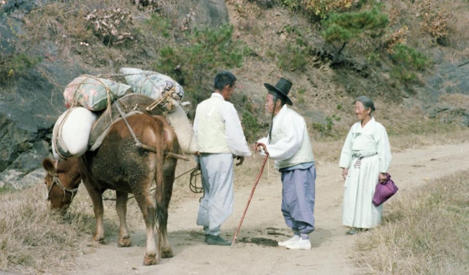 김운기 컬렉션이미지