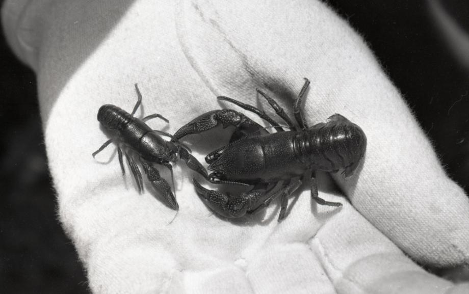 김운기 컬렉션이미지