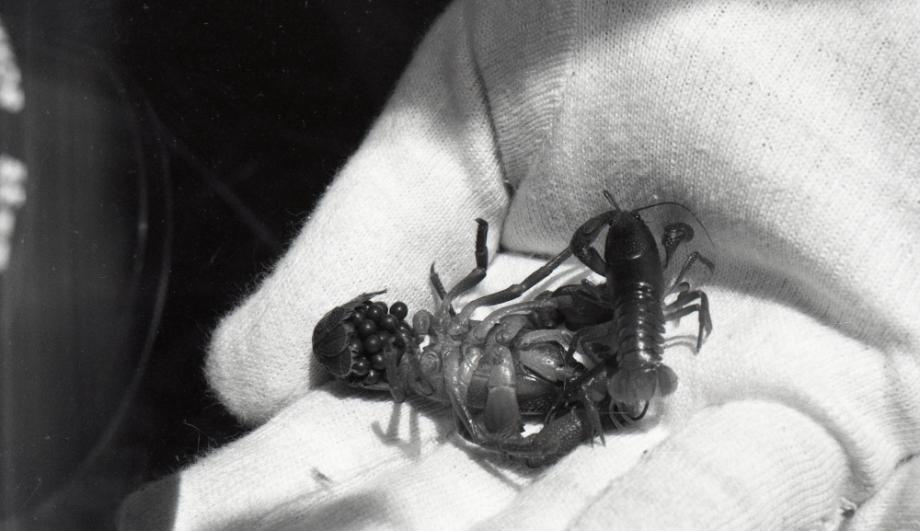 김운기 컬렉션이미지