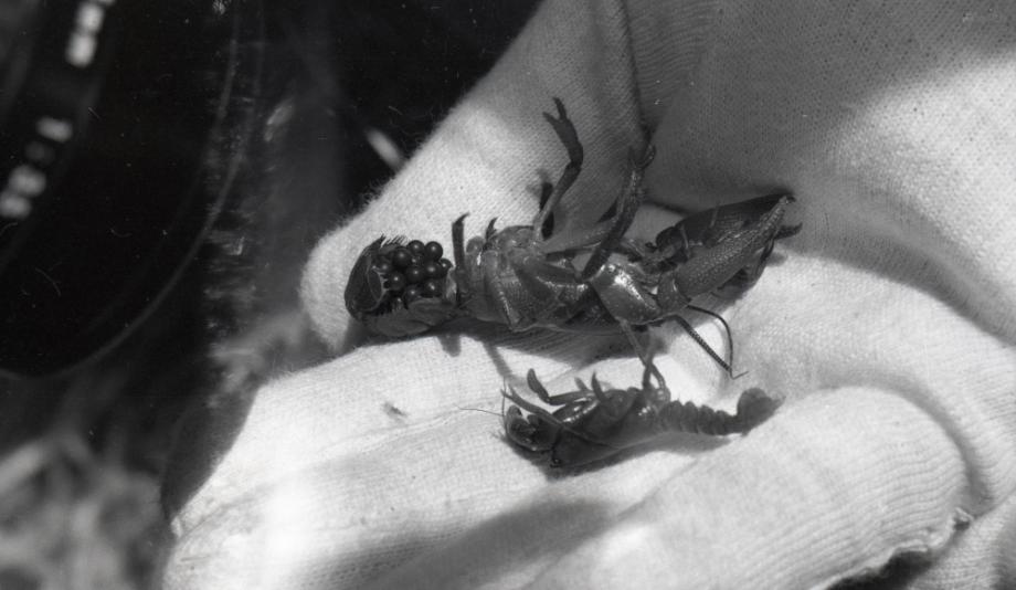 김운기 컬렉션이미지