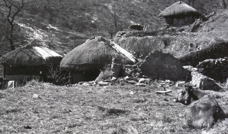 김운기 컬렉션이미지