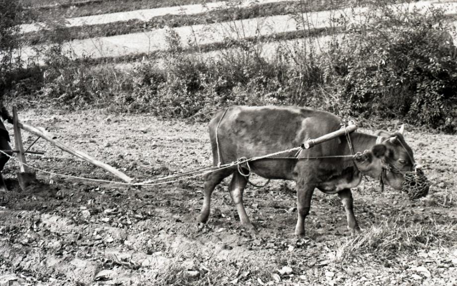 김운기 컬렉션이미지