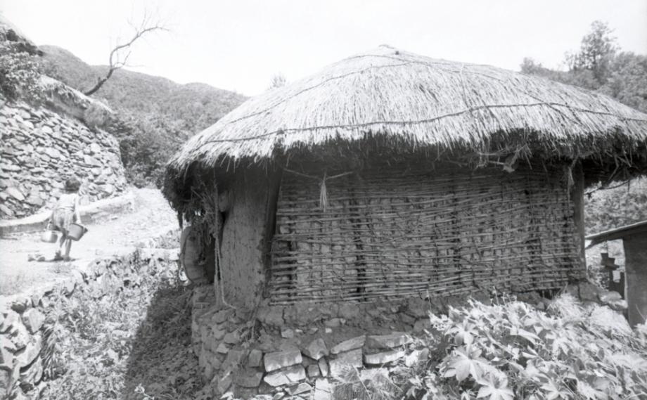 김운기 컬렉션이미지