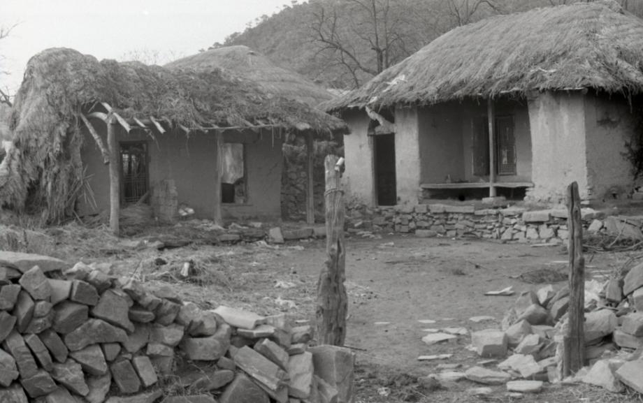 김운기 컬렉션이미지