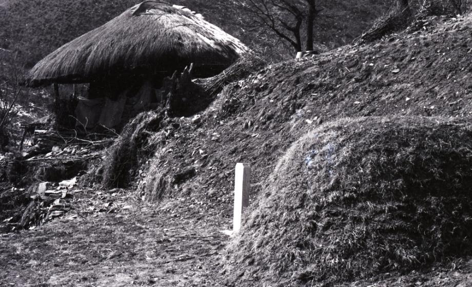 김운기 컬렉션이미지