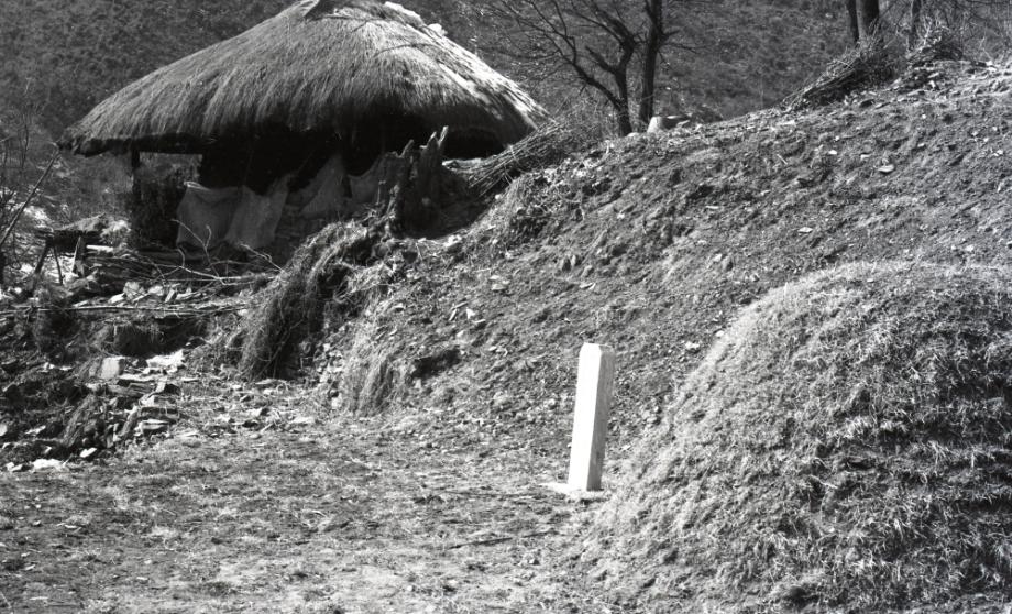 김운기 컬렉션이미지