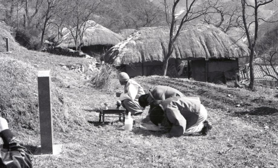 김운기 컬렉션이미지