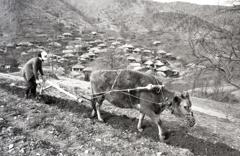 김운기 컬렉션이미지