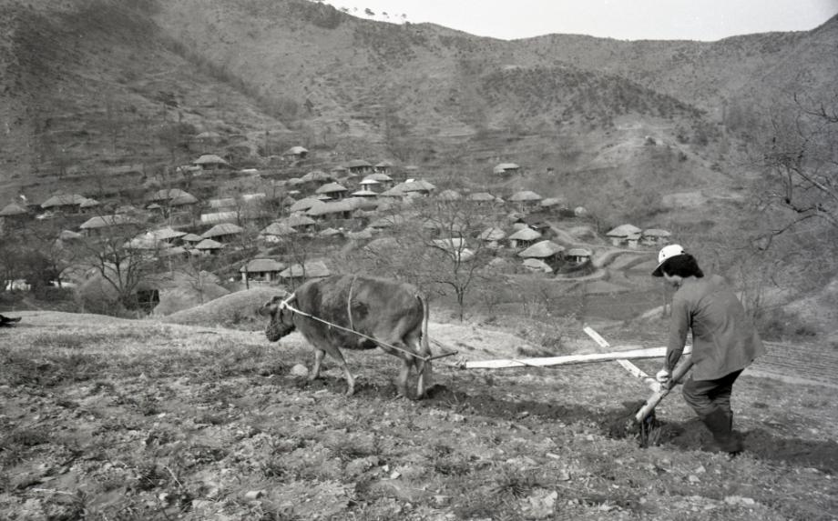 김운기 컬렉션이미지