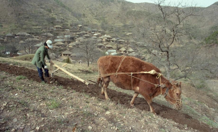 김운기 컬렉션이미지