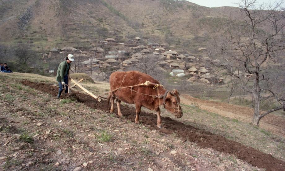 김운기 컬렉션이미지
