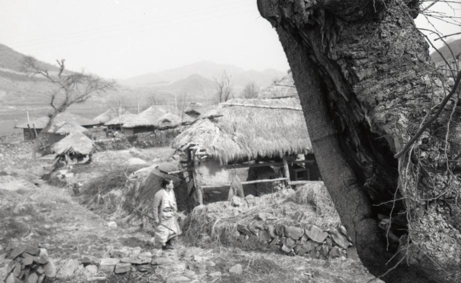 김운기 컬렉션이미지