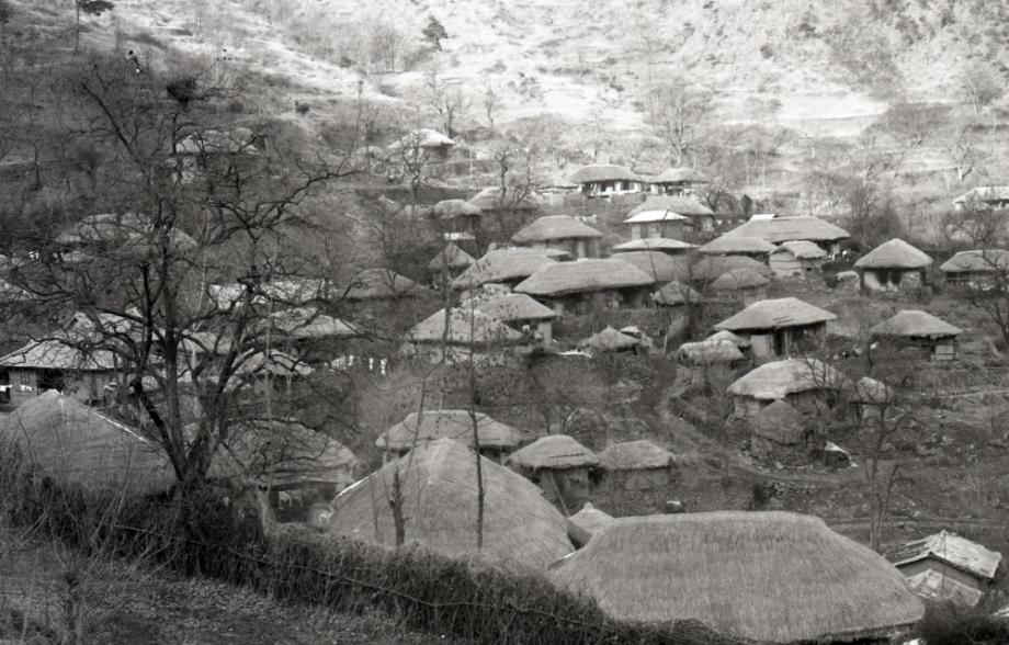 김운기 컬렉션이미지