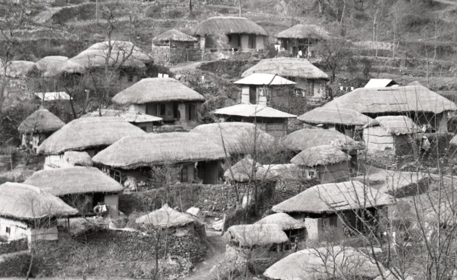 김운기 컬렉션이미지