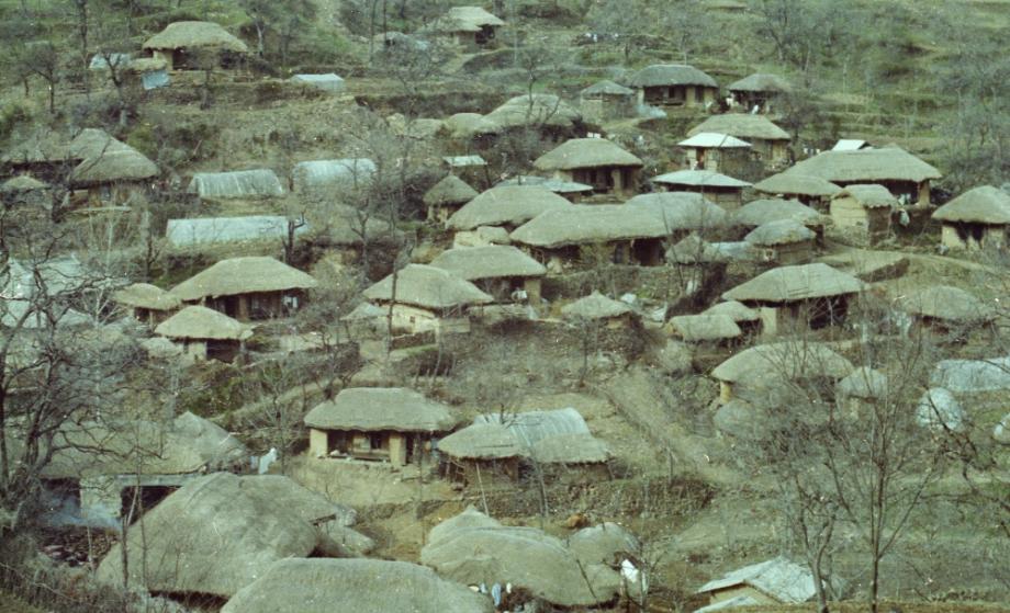 김운기 컬렉션이미지