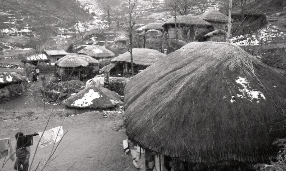 김운기 컬렉션이미지