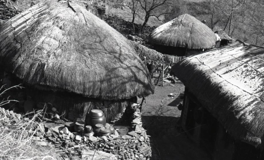 김운기 컬렉션이미지