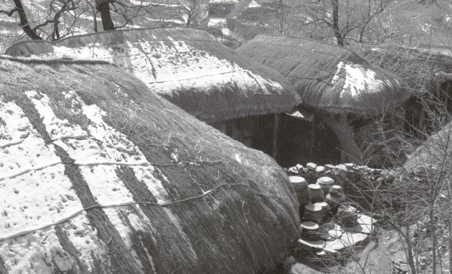김운기 컬렉션이미지