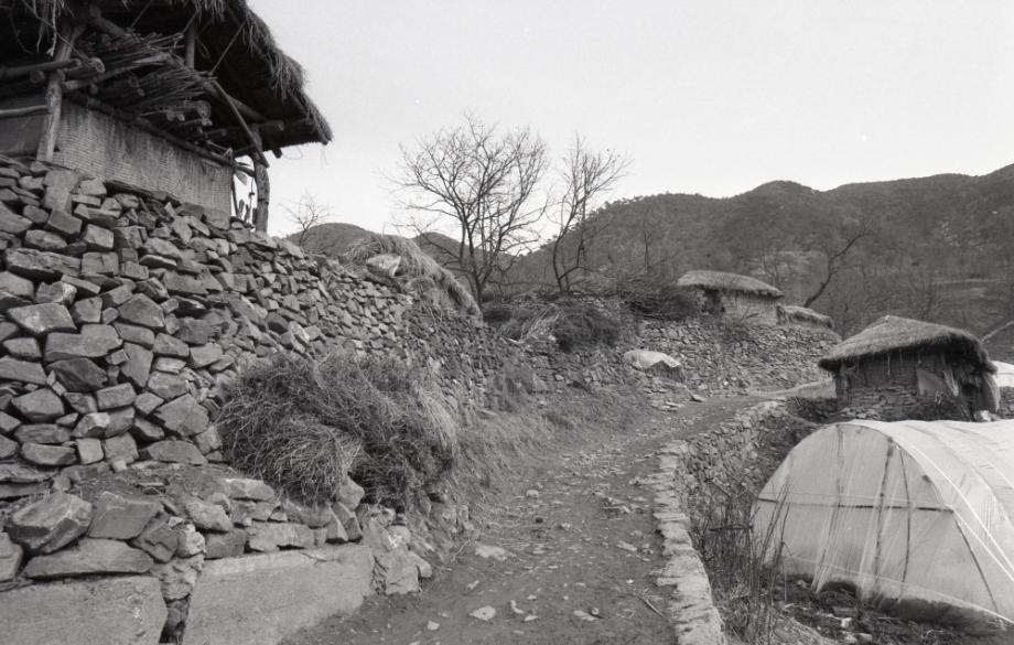 김운기 컬렉션이미지