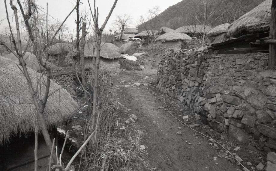 김운기 컬렉션이미지