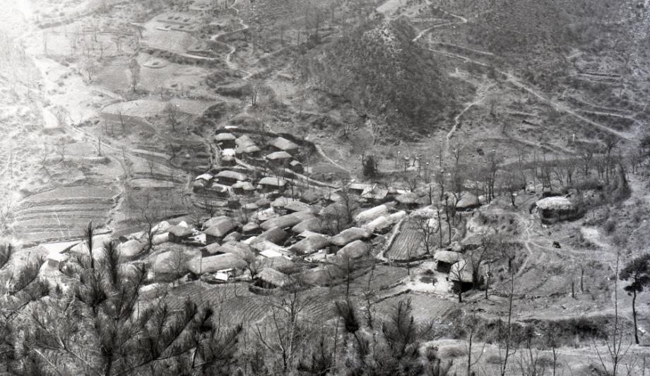 김운기 컬렉션이미지
