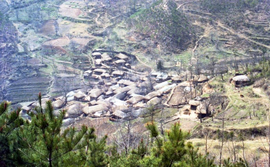 김운기 컬렉션이미지