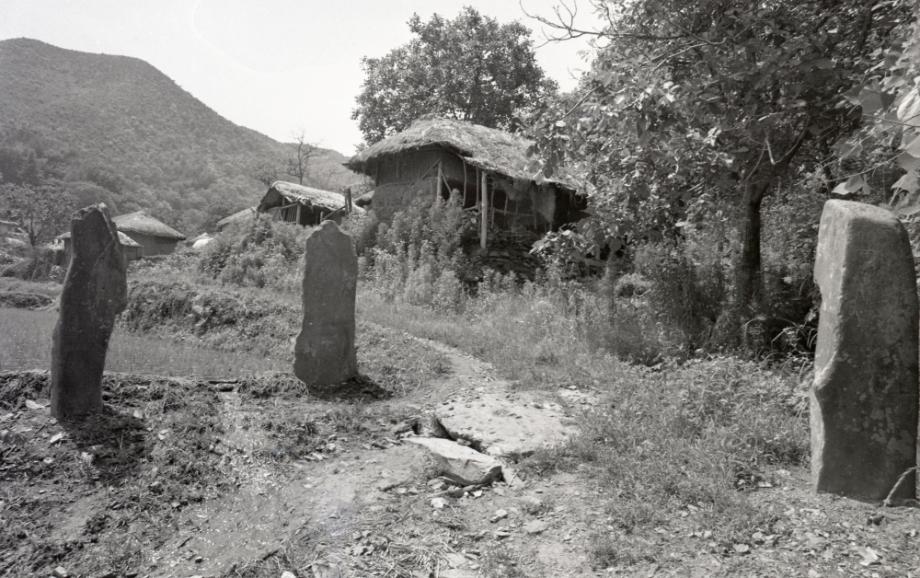 김운기 컬렉션이미지