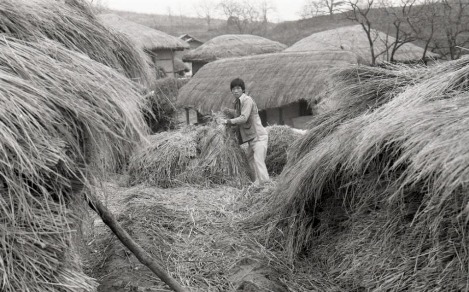 김운기 컬렉션이미지