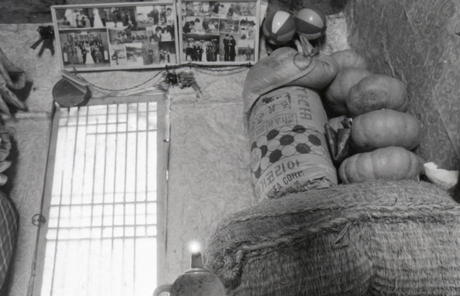 김운기 컬렉션이미지