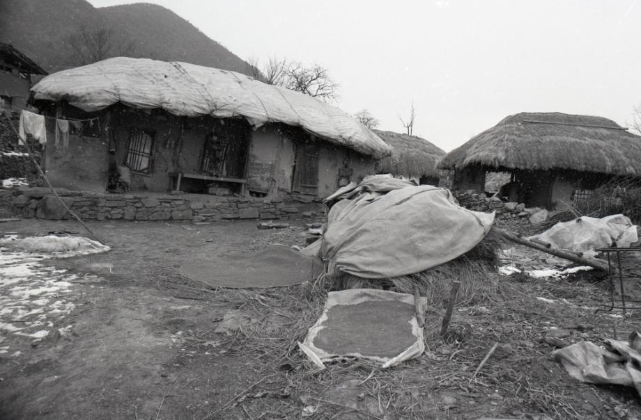 김운기 컬렉션이미지