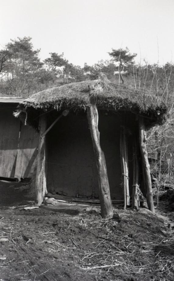 김운기 컬렉션이미지