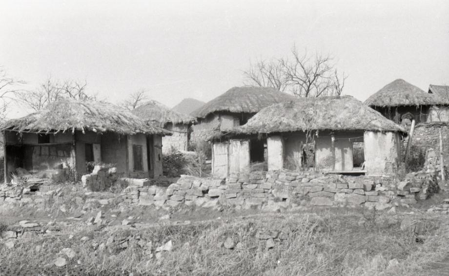 김운기 컬렉션이미지