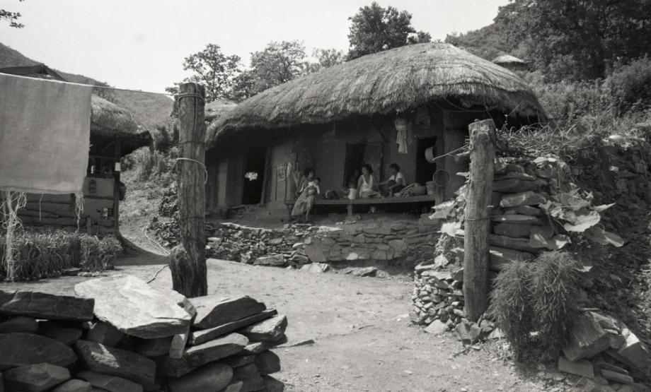 김운기 컬렉션이미지