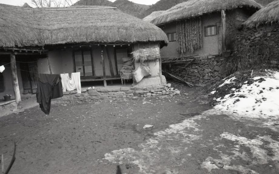 김운기 컬렉션이미지