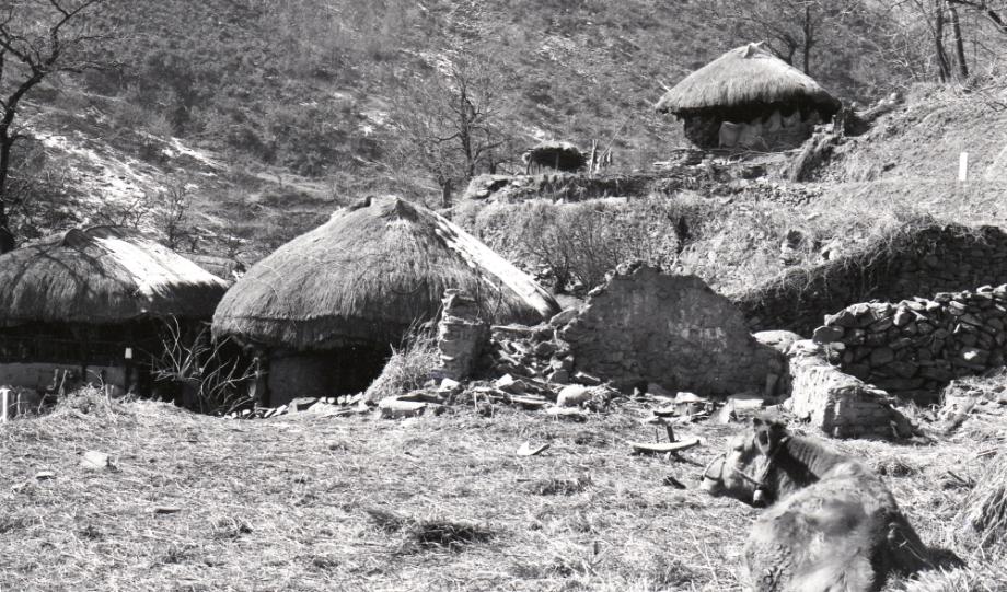 김운기 컬렉션이미지